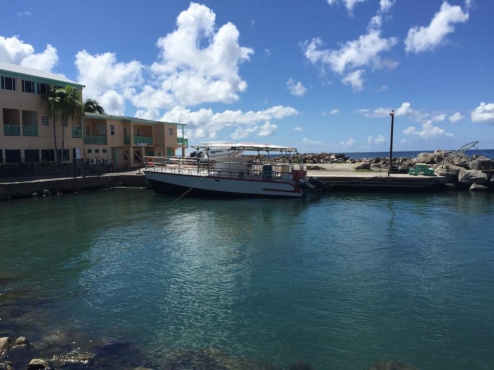 Bird Rock Beach Hotel Basseterre Eksteriør bilde